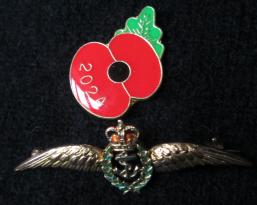 Fleet Air Arm medal IMG 8794 crop