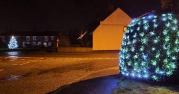 2023 Xmas tree 1210 192112