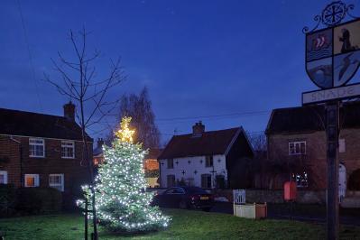 2023 Xmas tree 1208 163706 3x2