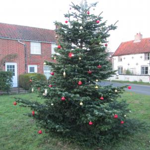 2023 Xmas tree IMG 7471C