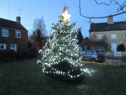 2023 Xmas tree IMG 7473