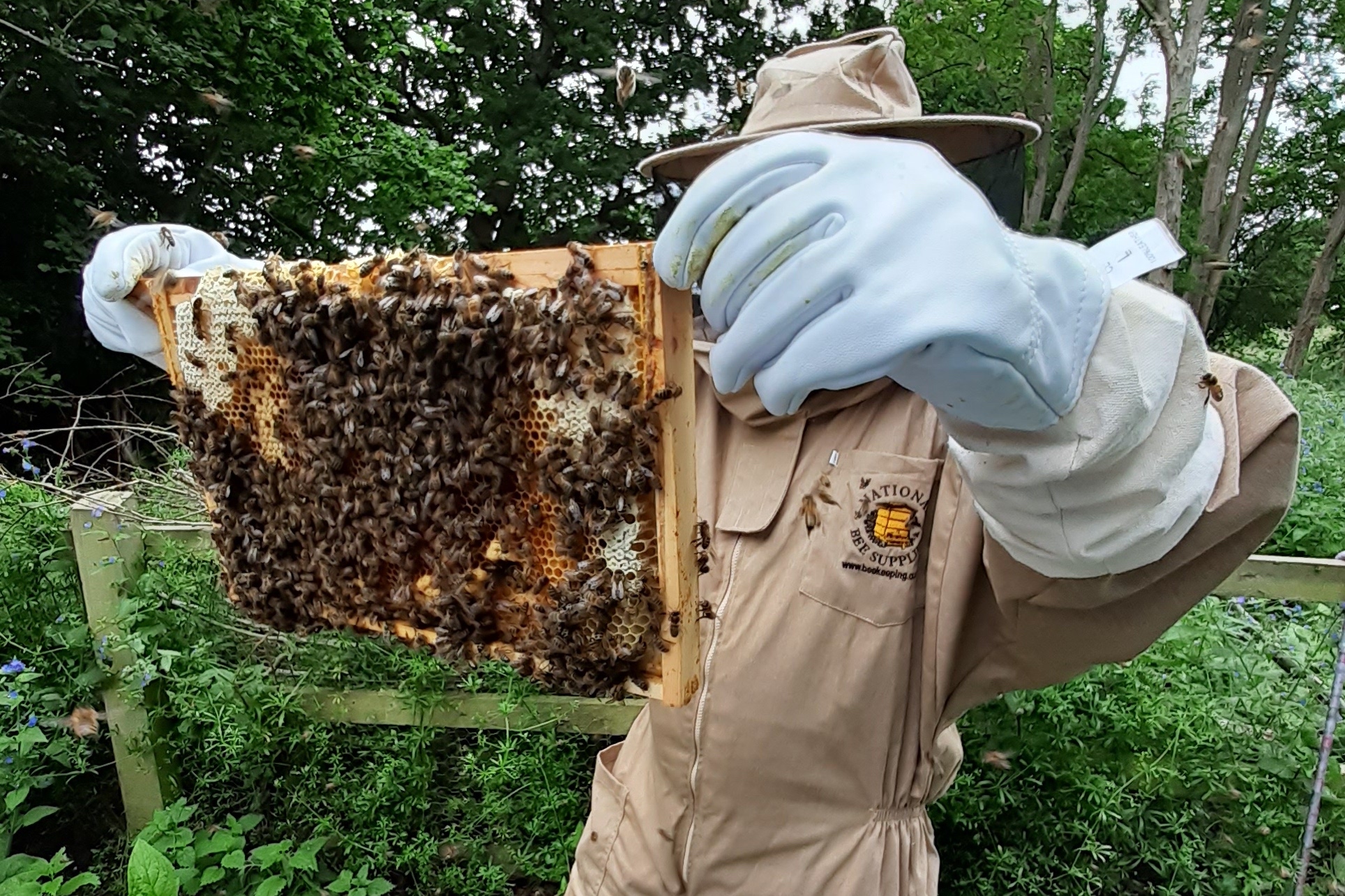 GAS: Cundle Green beekeepers buzzing in!