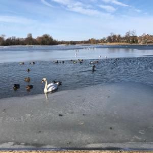 Thorpeness Meare after the snow