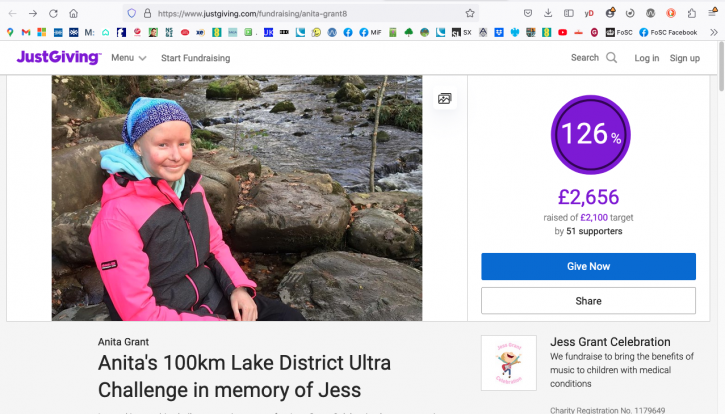 230701 2120 justgiving_com_fundraising_anita-grant8