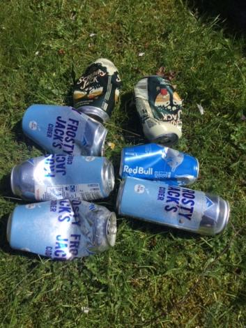 2404 litter CBRE1