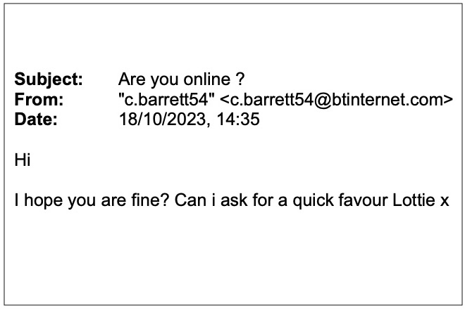Are you online?: attempted email scam